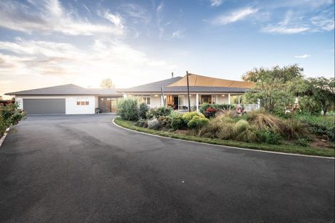 Photo of property in 81 Racecourse Road, Cambridge, 3493