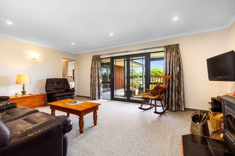 Photo of property in 4 Pukematawai Lane, Levin, 5571