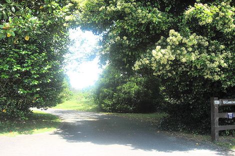 Photo of property in 201 No 2 Road, Te Puke, 3182