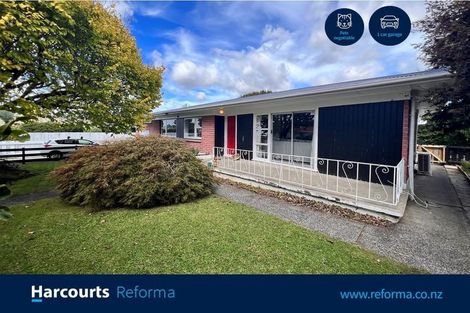 Photo of property in 24 Mason Avenue, Pukekohe, 2120