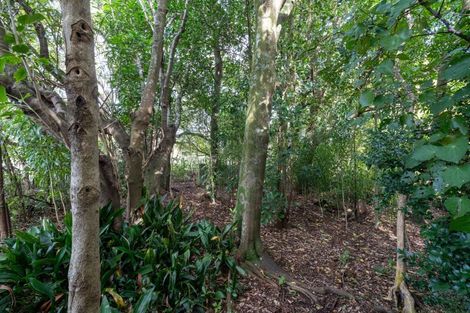 Photo of property in 126 Gladstone Road, Levin, 5571