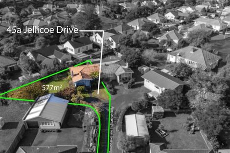 Photo of property in 45a Jellicoe Drive, Hamilton East, Hamilton, 3216