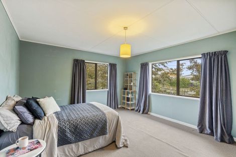 Photo of property in 234 Carrington Street, Vogeltown, New Plymouth, 4310