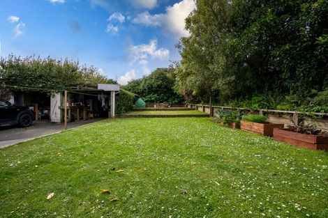 Photo of property in 146 Rimu Street, Maeroa, Hamilton, 3200