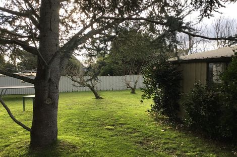 Photo of property in 5r Carmichael Road, Bethlehem, Tauranga, 3110