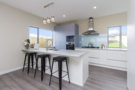 Photo of property in 11 Regis Park Drive, Pukekohe, 2120