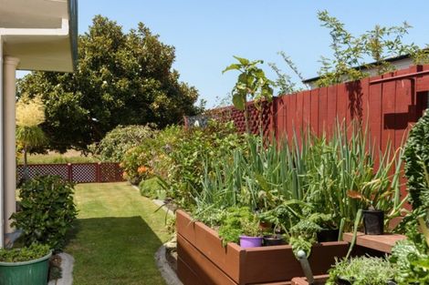 Photo of property in 26 Montego Drive, Papamoa Beach, Papamoa, 3118