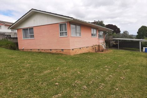 Photo of property in 33 Kaikoura Street, Henderson, Auckland, 0612