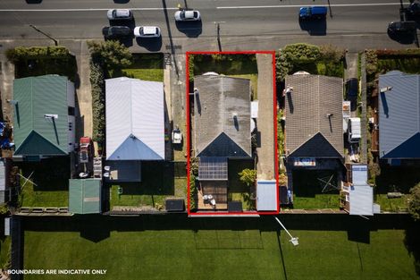 Photo of property in 253 Macandrew Road, Forbury, Dunedin, 9012