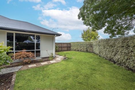 Photo of property in 38 Pentecost Road, Rangiora, 7400