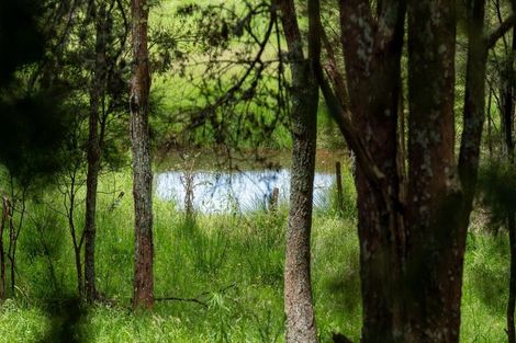 Photo of property in 21 Echo Valley Road, Mangawhai, Kaiwaka, 0573