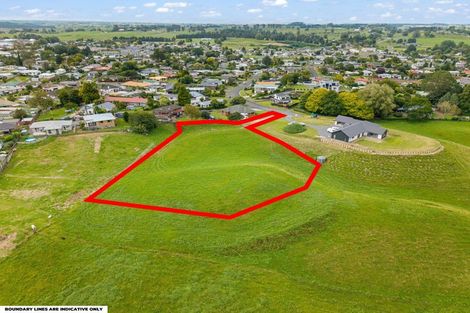 Photo of property in 27 Thornton Street, Putaruru, 3411