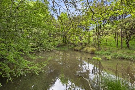 Photo of property in 297 Waingaro Road, Ngaruawahia, 3793