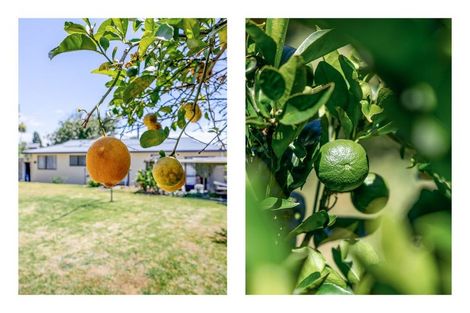 Photo of property in 1 Langstone Street, Welcome Bay, Tauranga, 3112