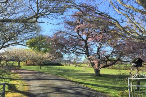Photo of property in 72 Harding Road, Turangaomoana, Matamata, 3471