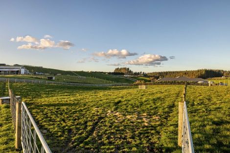 Photo of property in 10 Betty May Drive, Pyes Pa, Tauranga, 3173