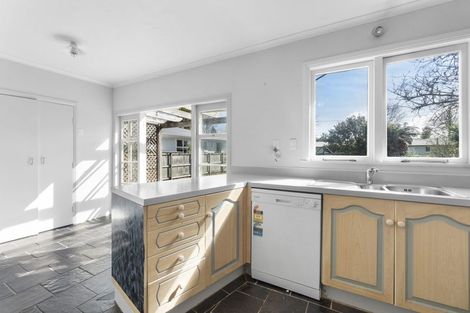 Photo of property in 17 Brown Street, Hamilton East, Hamilton, 3216