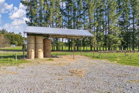Photo of property in 185 Worlingham Road, Eyrewell, Rangiora, 7476