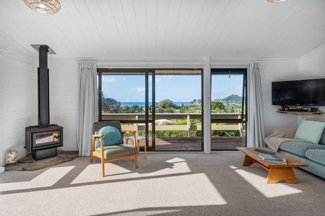 Photo of property in 39 Grange Road, Hahei, Whitianga, 3591