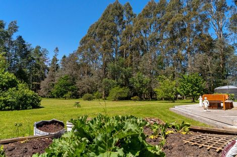 Photo of property in 128 Tararua Drive, Upper Plain, Masterton, 5888