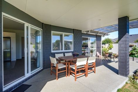 Photo of property in 13 Cherry Place, Feilding, 4702
