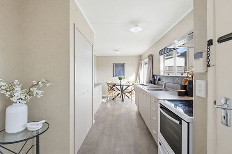 Photo of property in 47 Gemini Avenue, Milson, Palmerston North, 4414