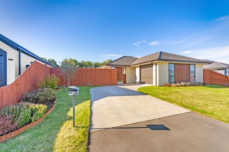 Photo of property in 8 Romanee Lane, Wigram, Christchurch, 8025