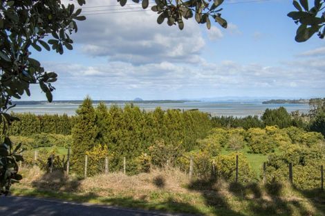 Photo of property in 308 Athenree Road, Athenree, Katikati, 3177