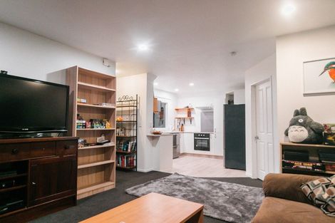 Photo of property in 33u9 Hiropi Street, Newtown, Wellington, 6021