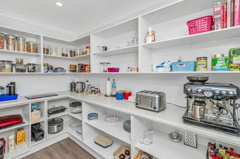 Photo of property in 1 Lloyds Close, Rolleston, 7614