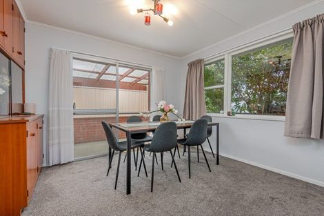 Photo of property in 4 Holdsworth Avenue, Milson, Palmerston North, 4414