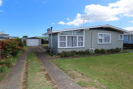 Photo of property in 95 Tiro Tiro Road, Levin, 5510