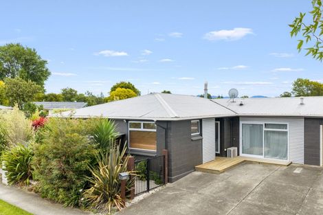 Photo of property in 52a Dillon Street, Blenheim, 7201