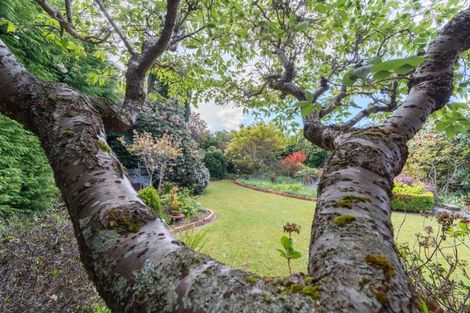 Photo of property in 65 Matai Street, Te Anau, 9600