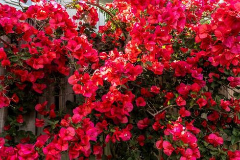 Photo of property in 16h Lincoln Road, Henderson, Auckland, 0610