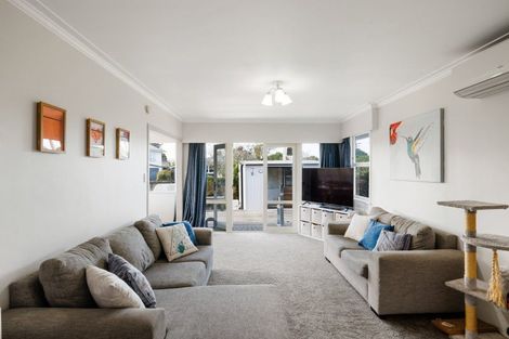 Photo of property in 23 Laurence Street, Queenwood, Hamilton, 3210