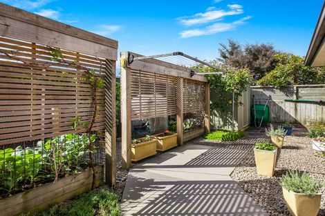 Photo of property in 55a Henderson Street, Whakatane, 3120