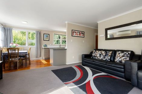 Photo of property in 78 Fitzroy Avenue, Fitzroy, Hamilton, 3206