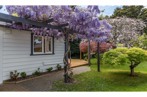 Photo of property in 6 Campbell Drive, Warkworth, 0910