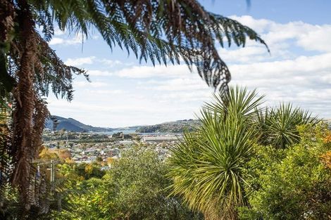 Photo of property in 56 Peter Street, Caversham, Dunedin, 9012