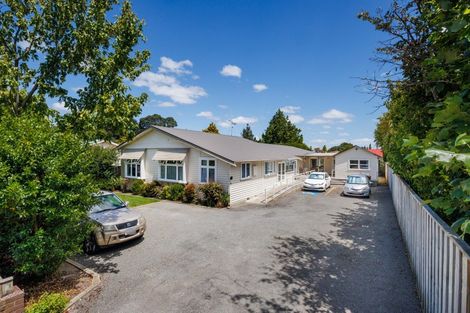 Photo of property in 12 Ngaio Street, West End, Palmerston North, 4412