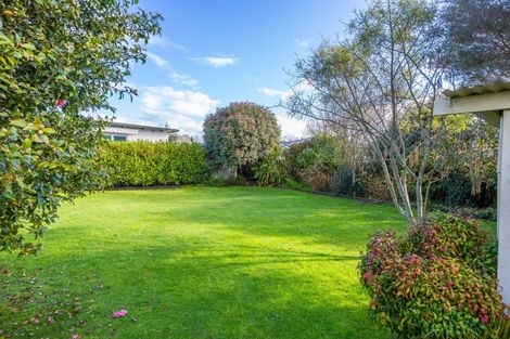 Photo of property in 319 Mangapiko Street, Te Awamutu, 3800