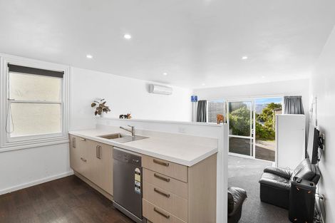 Photo of property in 65 Arthur Street, Dunedin Central, Dunedin, 9016