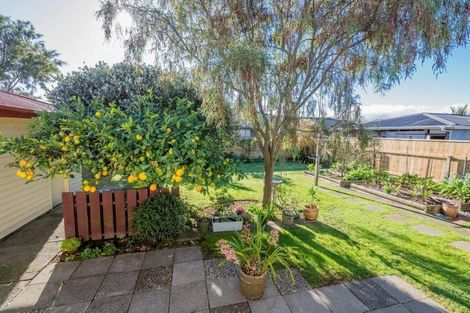 Photo of property in 27 Tawa Street, Levin, 5510