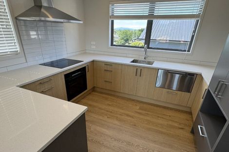 Photo of property in 1/41 Thackeray Street, Hamilton Lake, Hamilton, 3204
