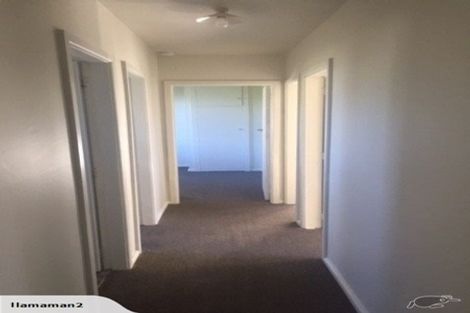 Photo of property in 11 Trist Place, Edgeware, Christchurch, 8013