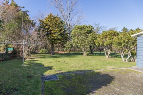 Photo of property in 217 Taupahi Road, Turangi, 3334