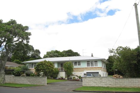 Photo of property in 6 Jutland Road, Pukekohe, 2120