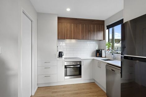 Photo of property in 16a Champion Street, Edgeware, Christchurch, 8013