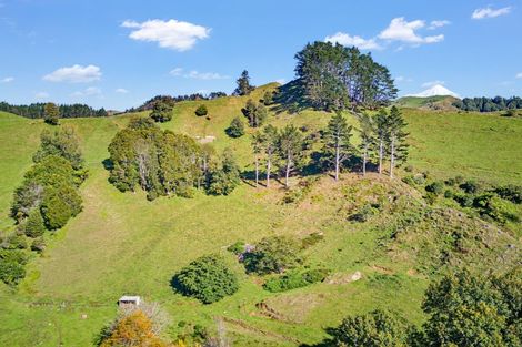 Photo of property in 822 Motukawa Road, Tarata, Inglewood, 4387